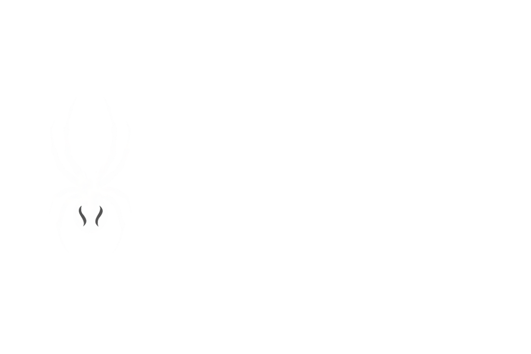 cropped-SPYDER-LOGO-blanco-png.png